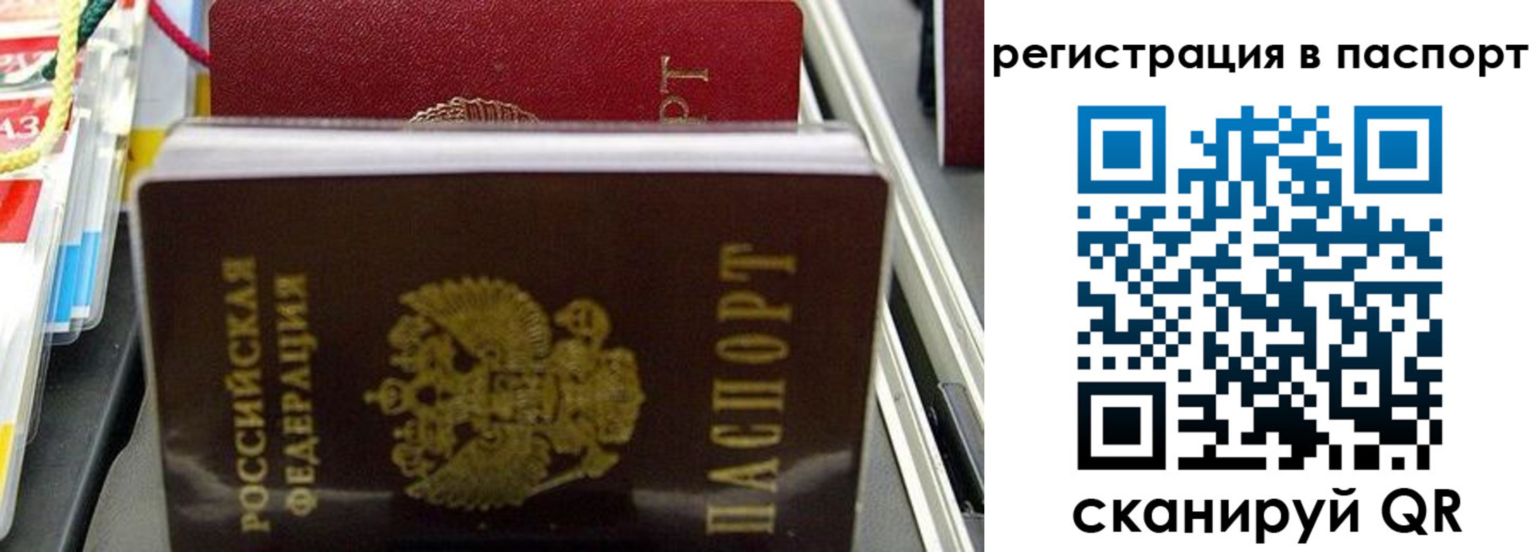 прописка для школы в Шагонаре